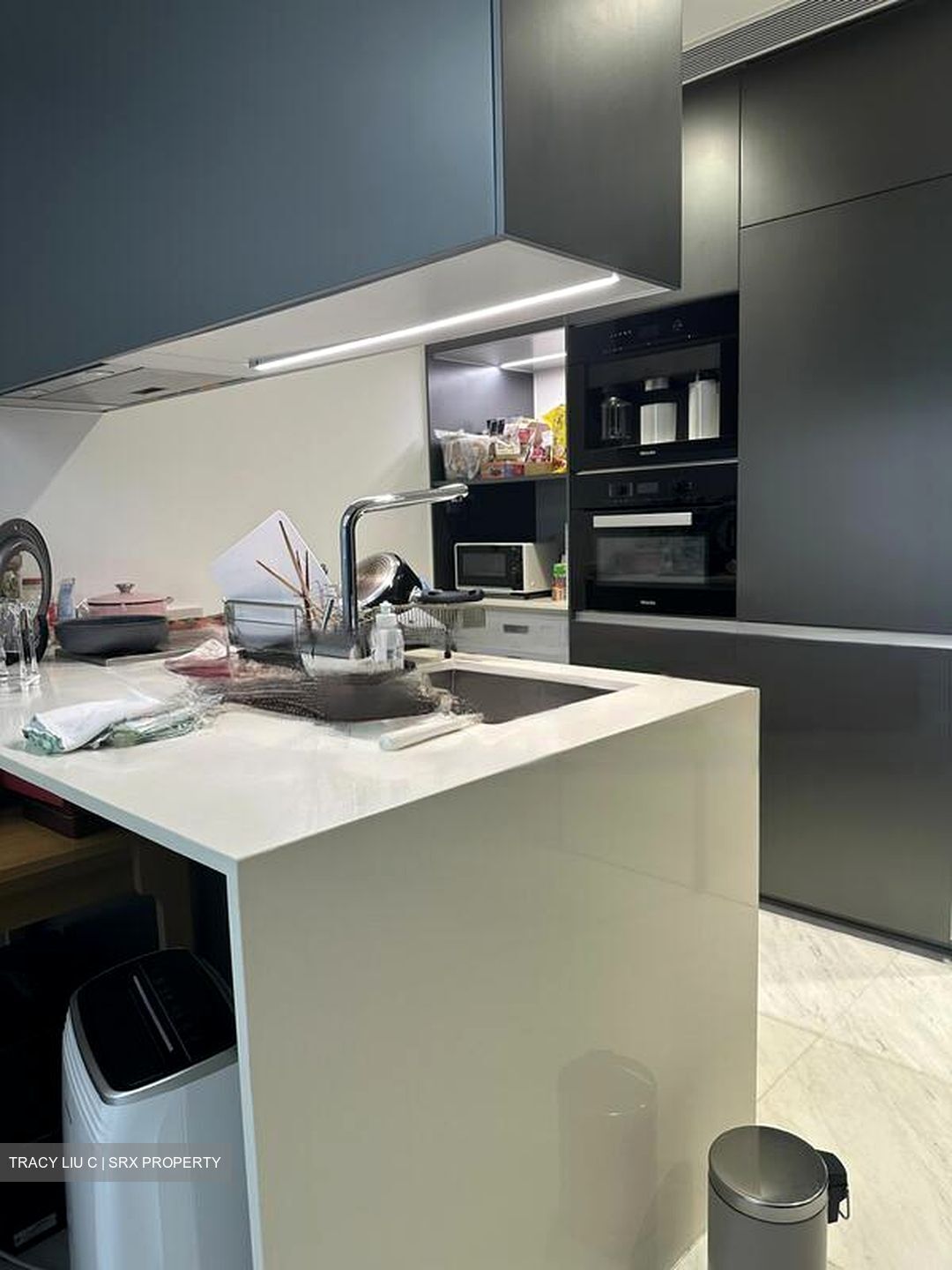 Cairnhill Nine (D9), Apartment #473415851